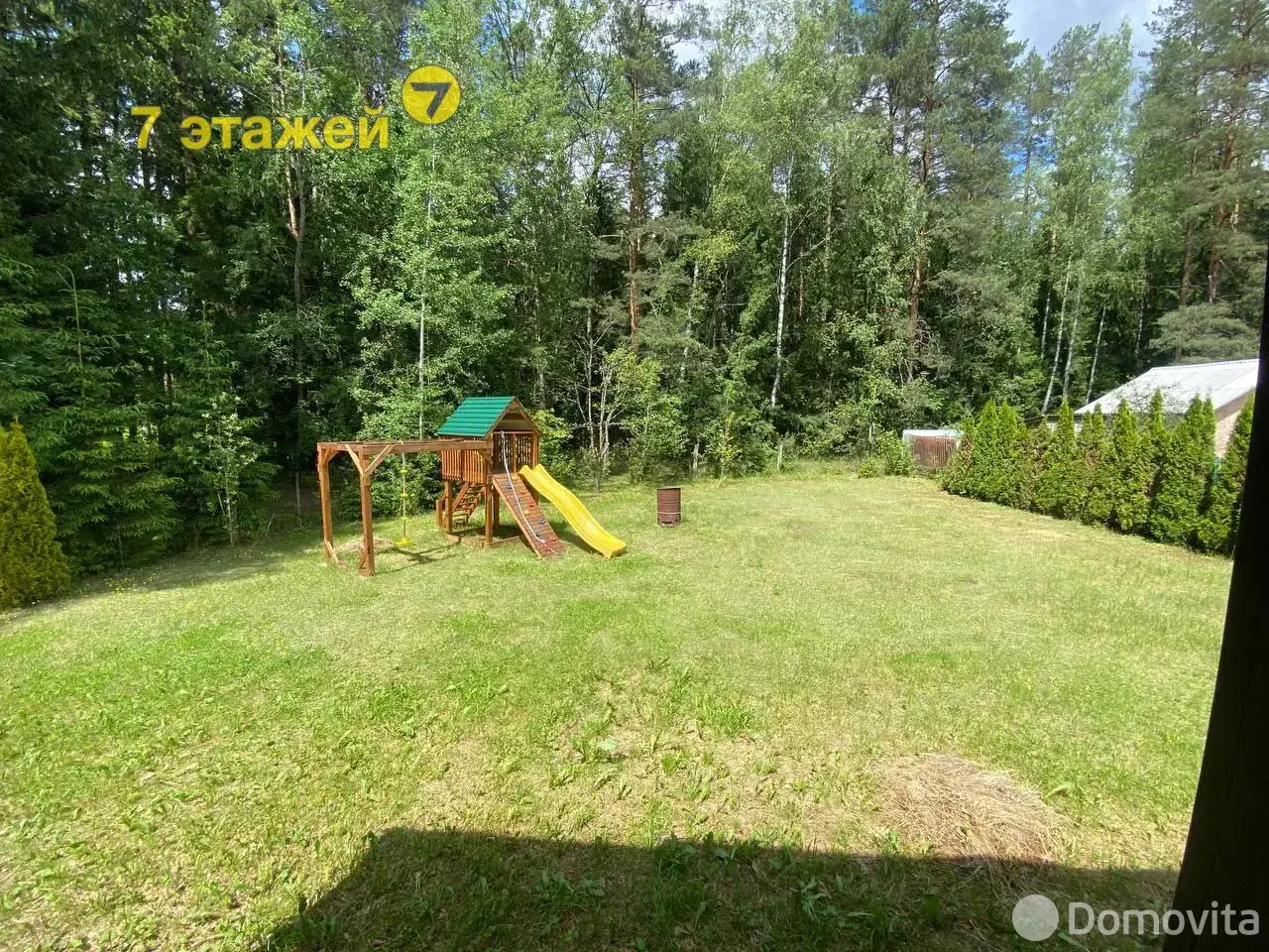 дача, Белая березка, 