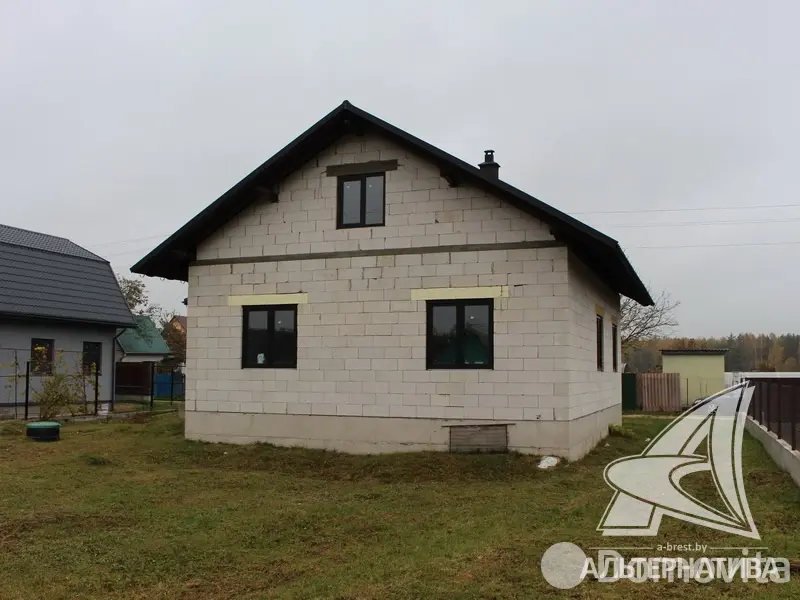 дом, Дружба,