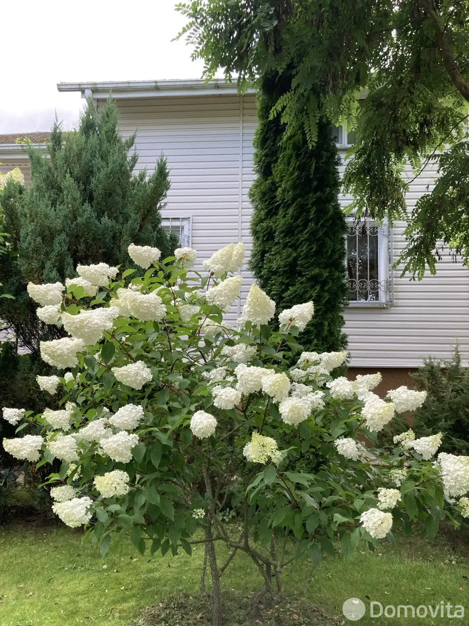 продажа дома, Белые Росы-2001, 