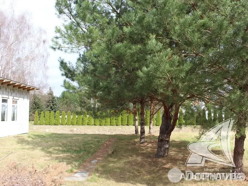 дом, Мухавец, 