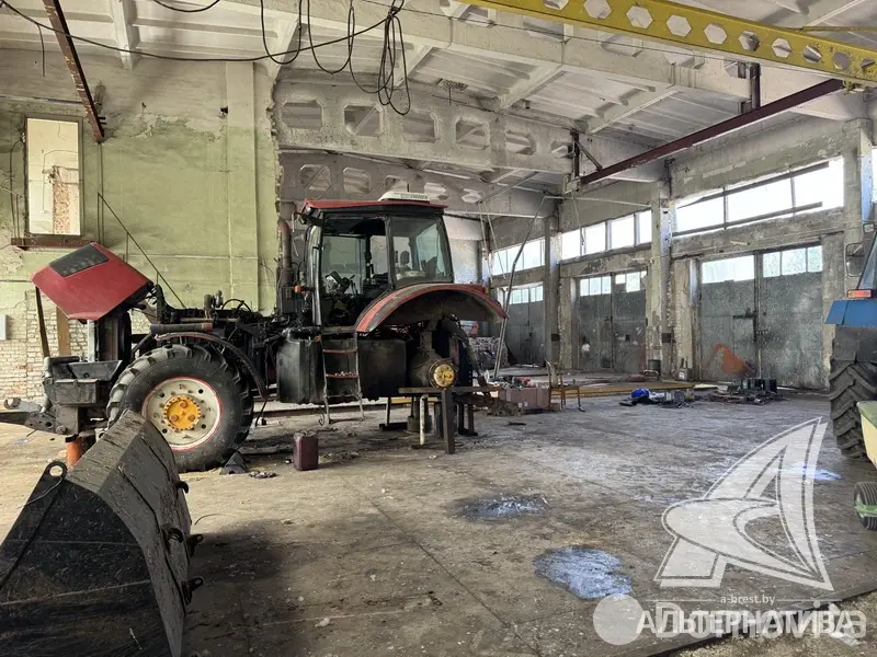 объект сферы услуг, Борисово, 