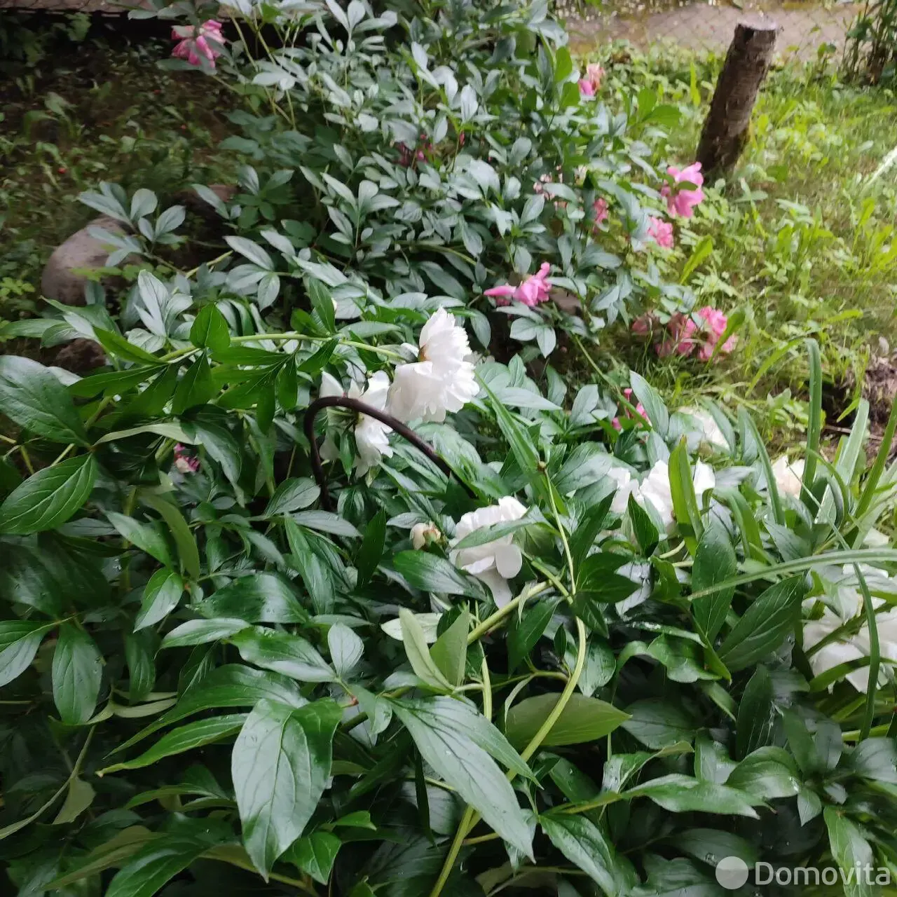 дача, Межколхозстрой, , стоимость продажи 47 779 р.