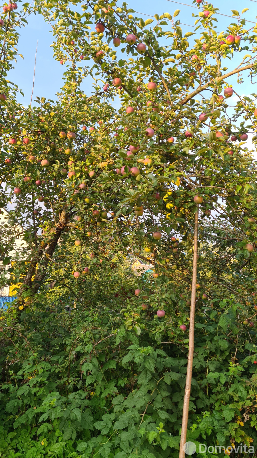 Купить 2-этажную дачу в ВЗГОРЬЕ ст.Бояры Минская область, 7500USD, код 181670 - фото 12