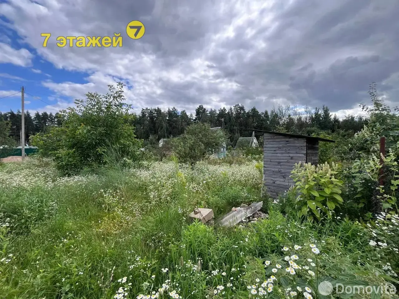 участок, Летний вечер, 