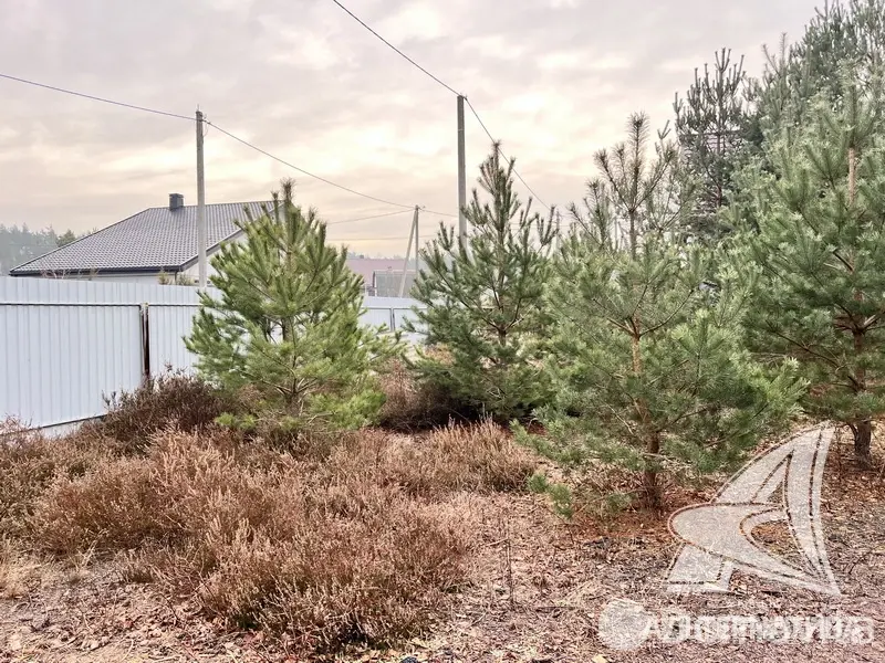 Купить 1-этажную дачу в Алеся-50 Брестская область, 31900USD, код 181350 - фото 27