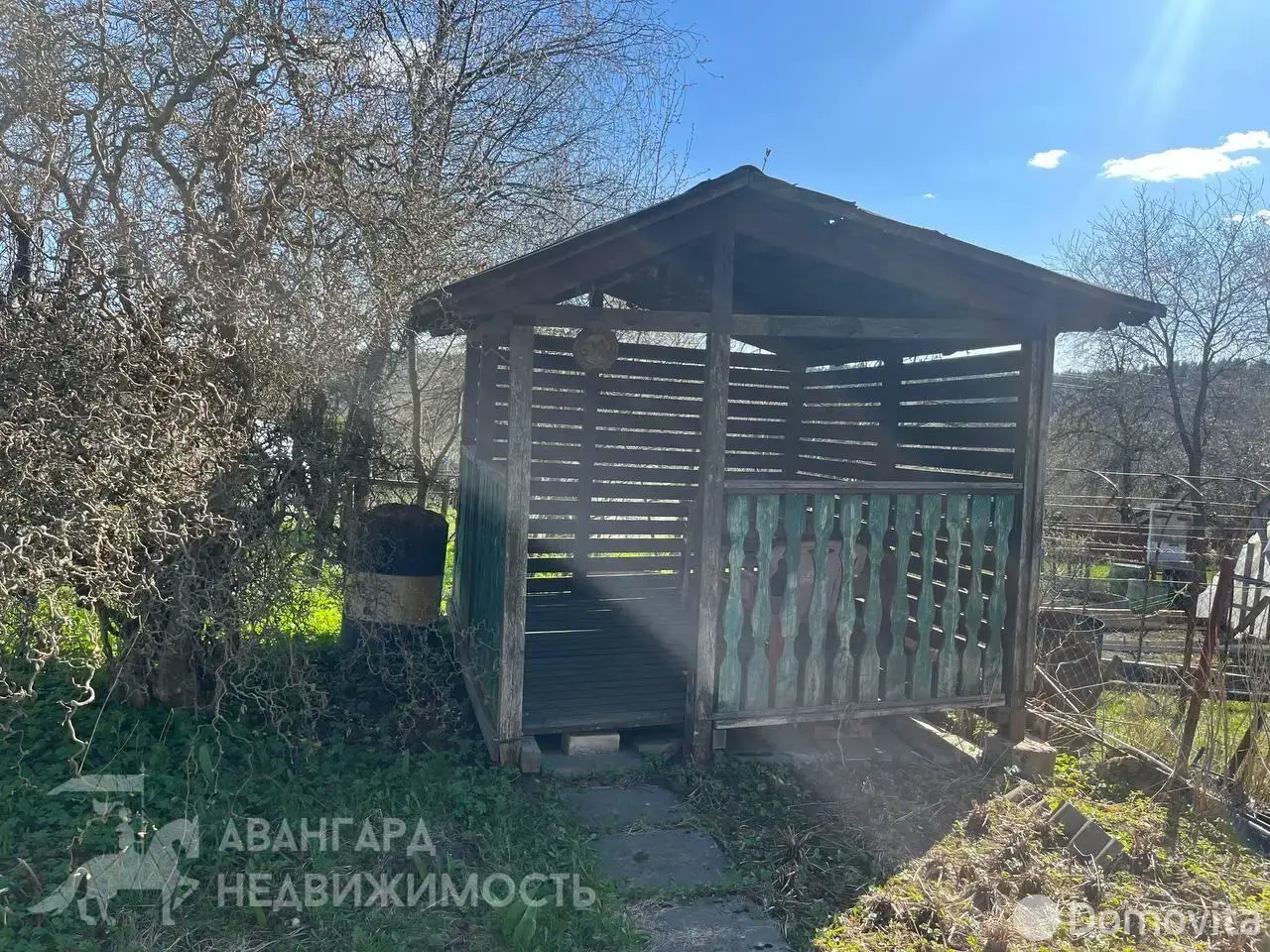 дача, Ромашка Соломореченская, 