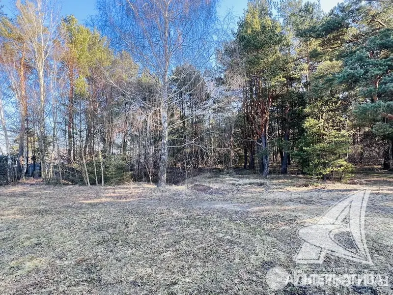 Купить земельный участок, 13.11 соток, Брест, Брестская область, 44500USD, код 571577 - фото 22