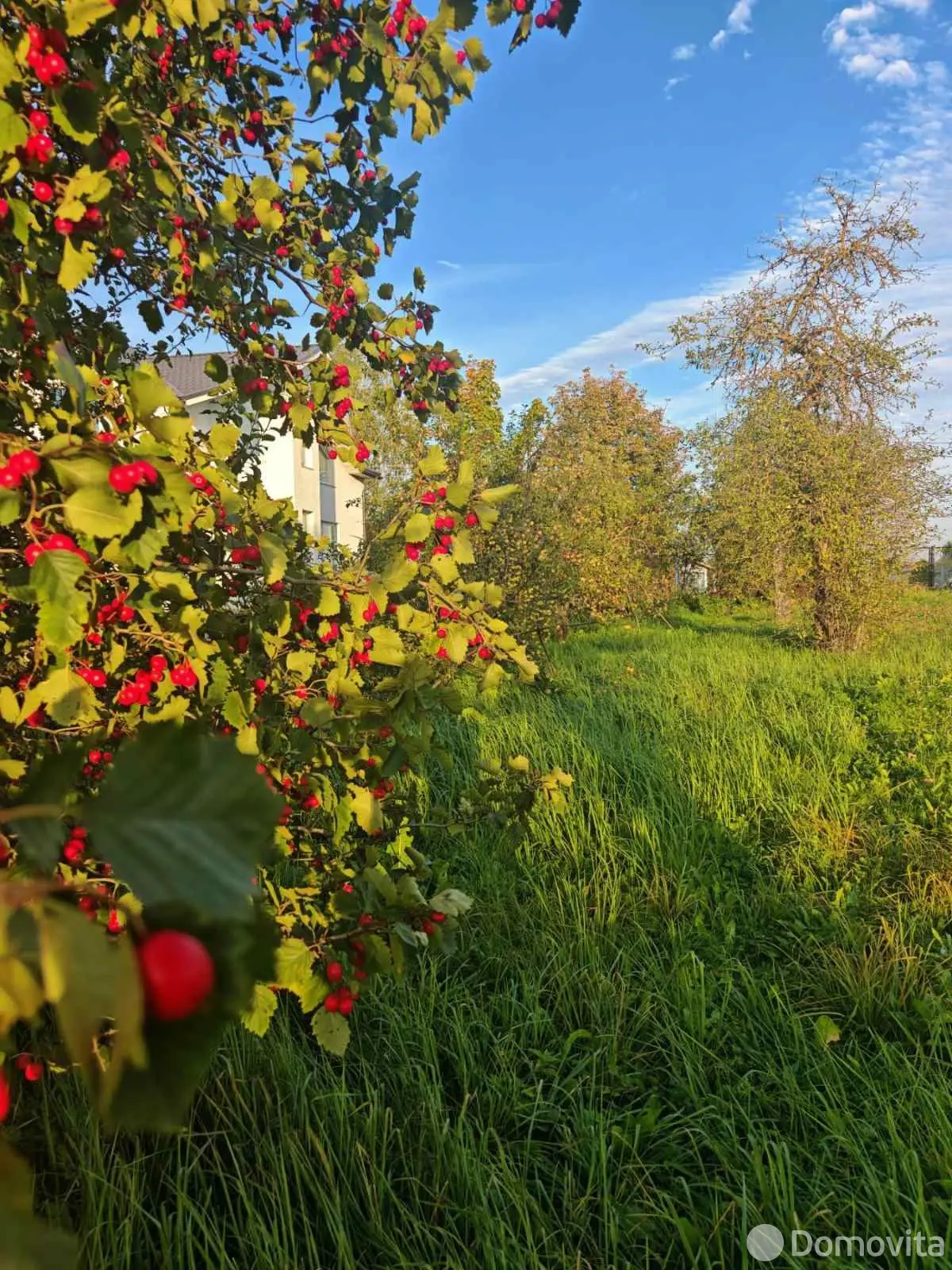 коттедж, Шумилино, пер. Дзержинского 