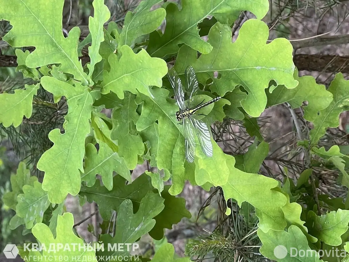 Купить 2-этажную дачу в Дубовом Лесе Минская область, 17000USD, код 183741 - фото 12