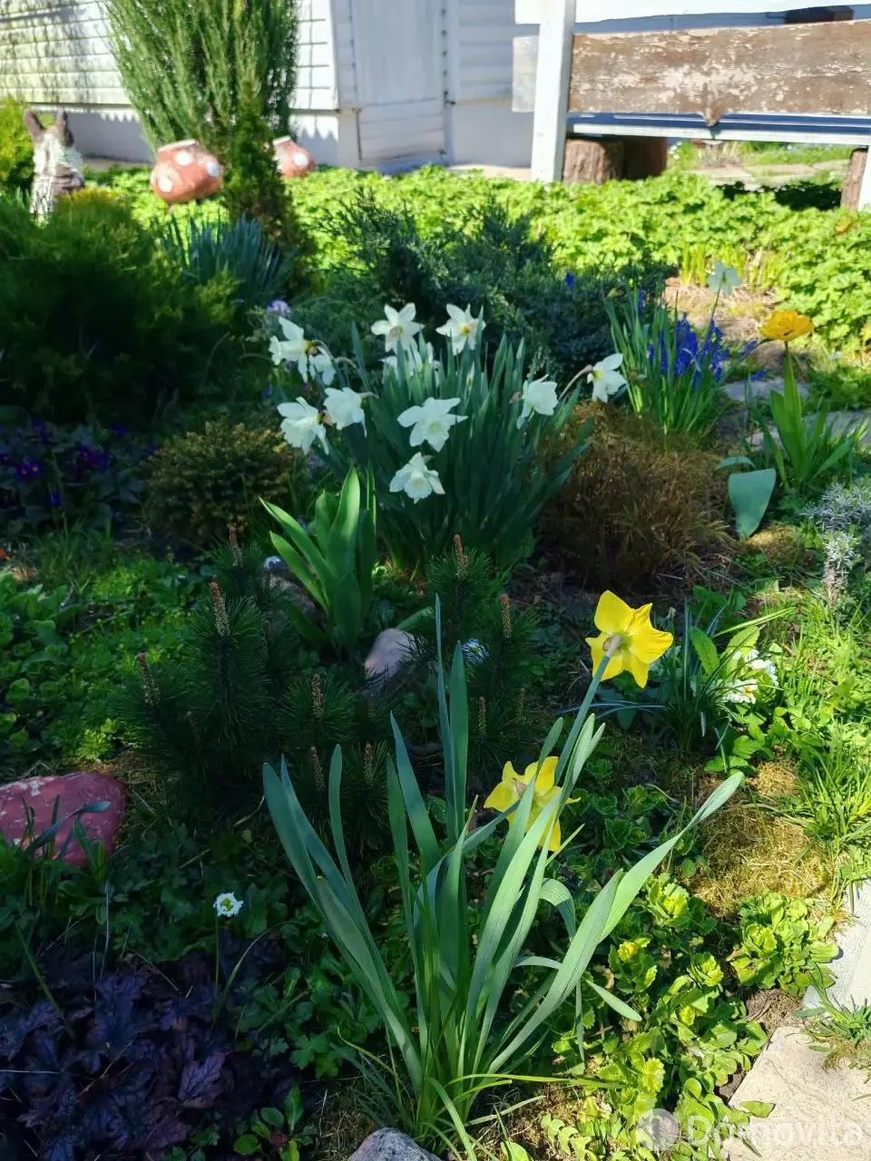  Коттедж Дом с Баней, Бассейном-купелью и Бильярдом 