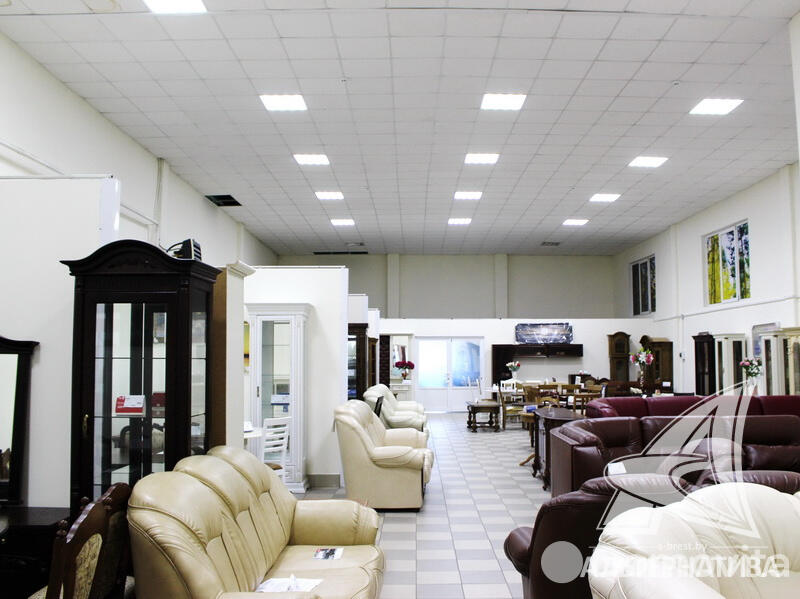 Продажа торговой точки в Бресте, 1600000USD, код 995161 - фото 11