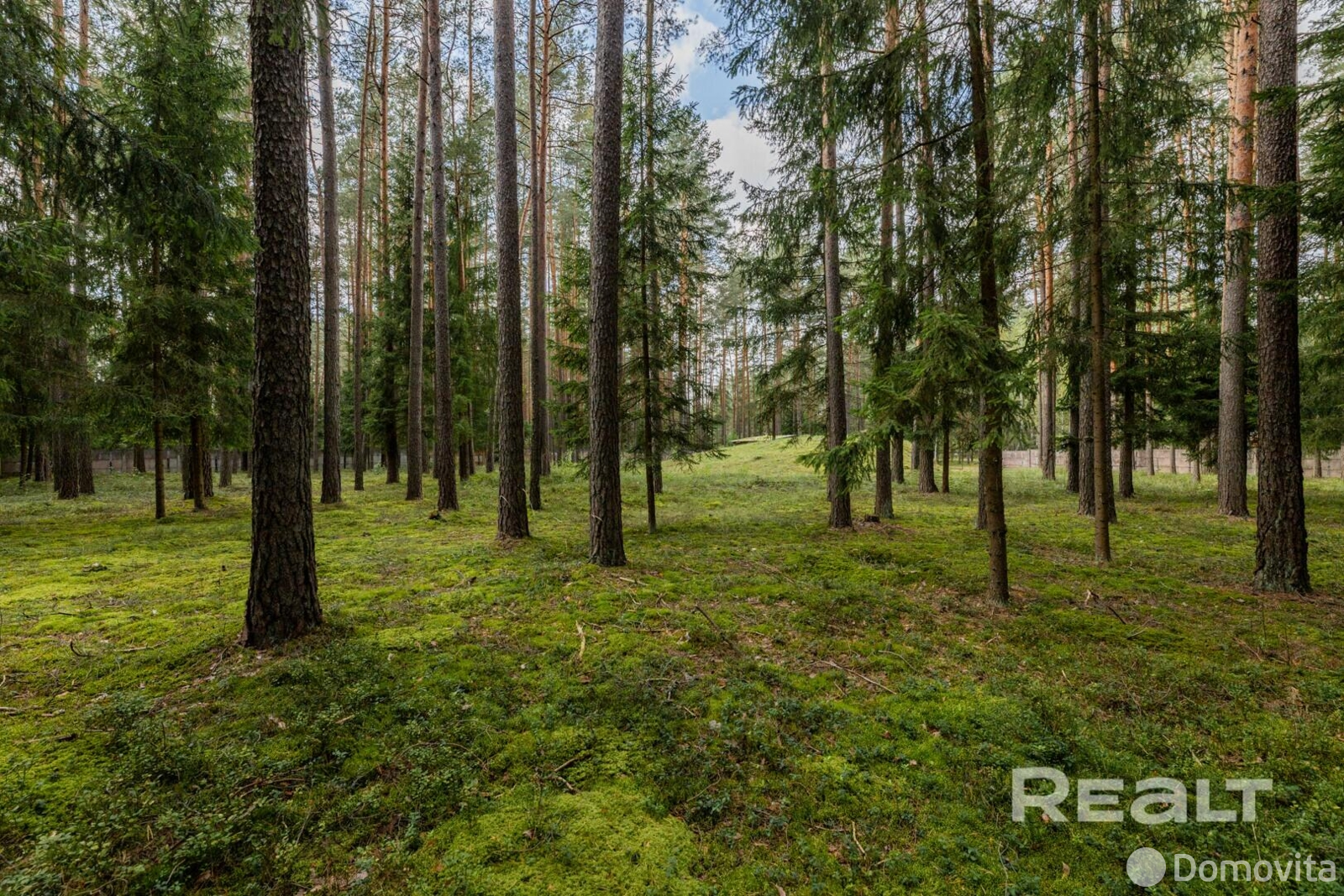 Купить помещение под сферу услуг в Ракове, ул. Боровая - фото 6