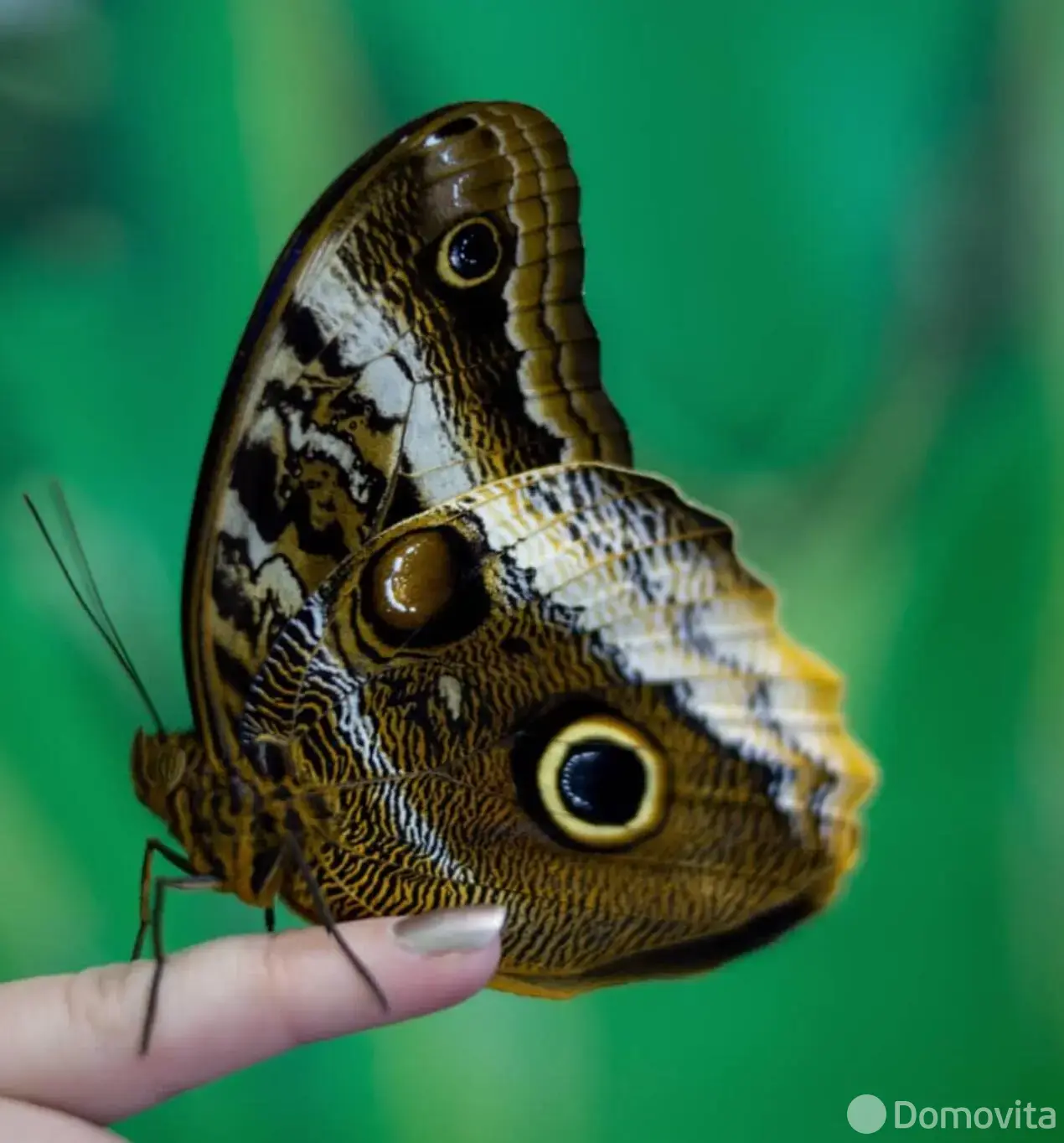 Купить торговое помещение на ул. Кирилла Туровского, д. 16 в Минске, 190000USD, код 998494 - фото 13