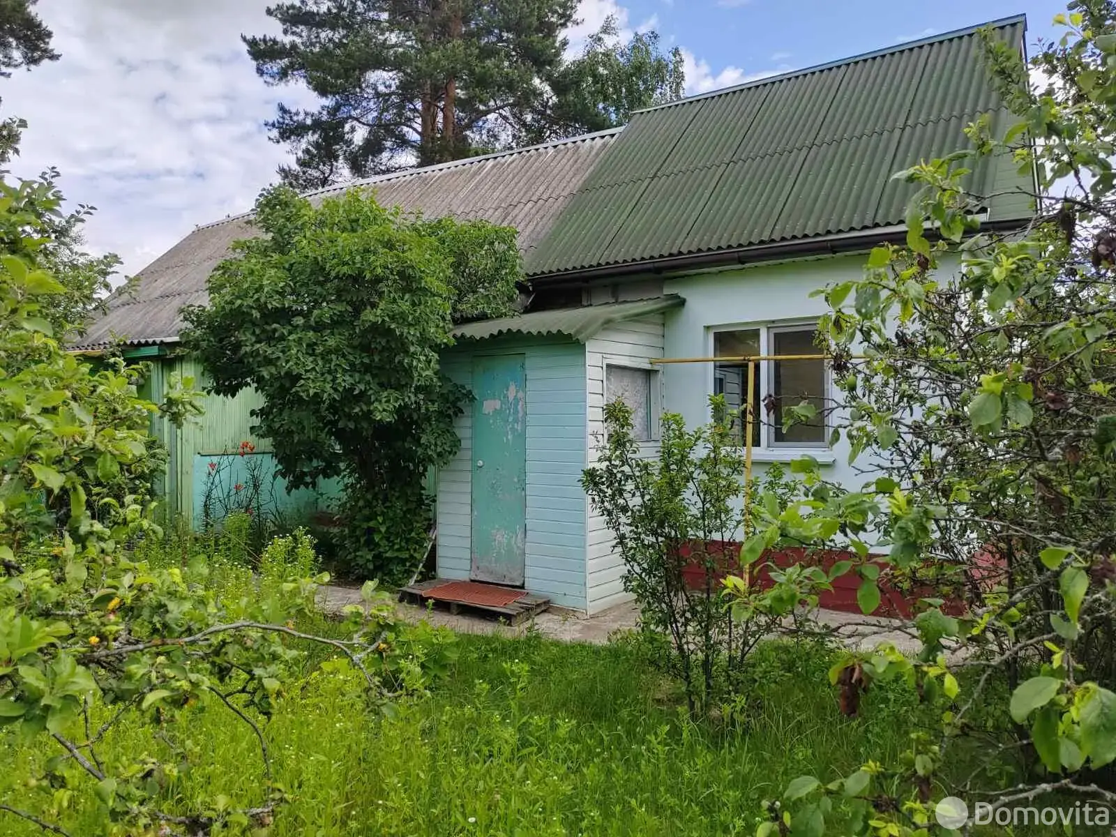 дом, Остров,