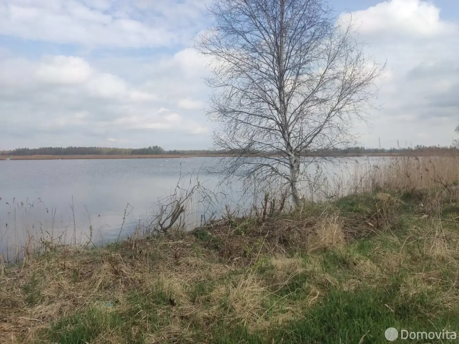 Купить 1-этажную дачу в Полочанах Минская область, 14000USD, код 184763 - фото 23