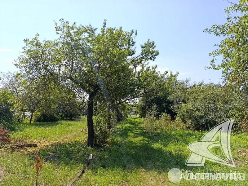 участок, Урожай ОАО Брестхлебопродукт, 