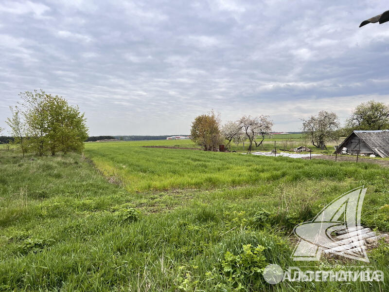 Купить земельный участок, 20.46 соток, Турна Большая, Брестская область, 10500USD, код 567787 - фото 13