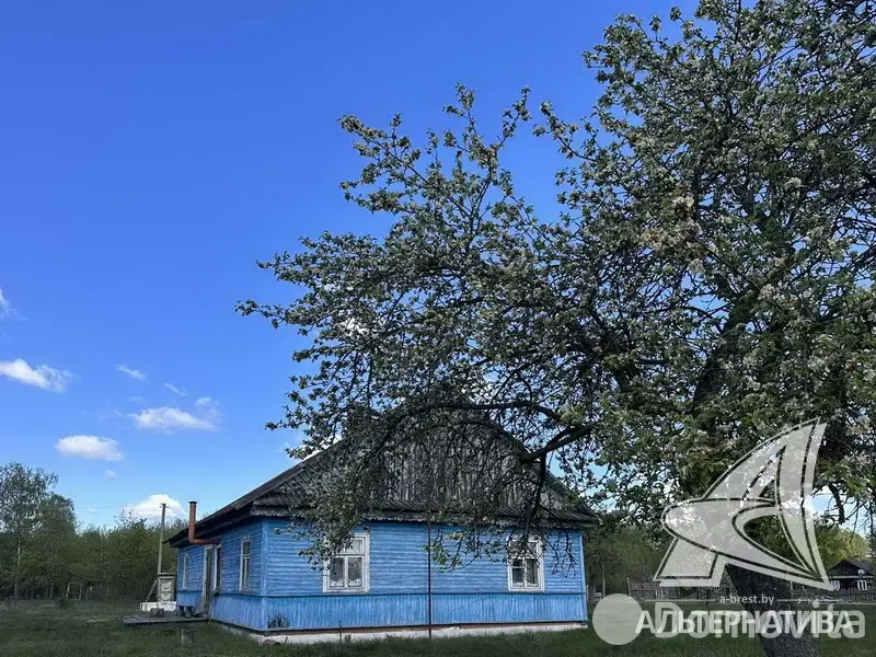 дом, Черняны,