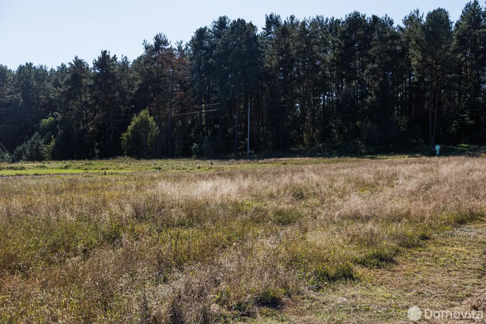 продажа участка, Гливин, ул. Лесная, д. 14