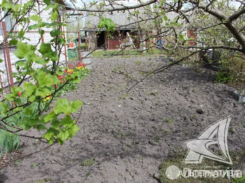 Продажа 2-этажной дачи в Суница-80 Брестская область, 101163BYN, код 185536 - фото 35