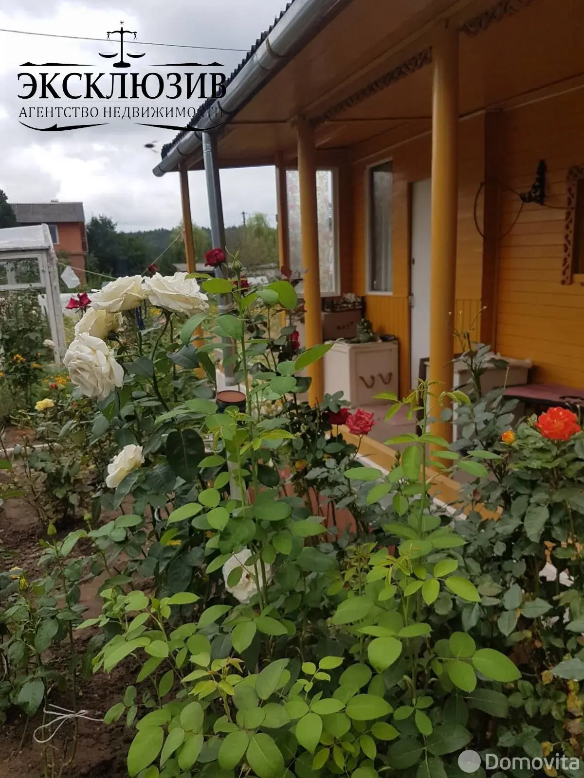 Продажа 1-этажной дачи в Подгорье Могилевская область, 33500BYN, код 186114 - фото 11