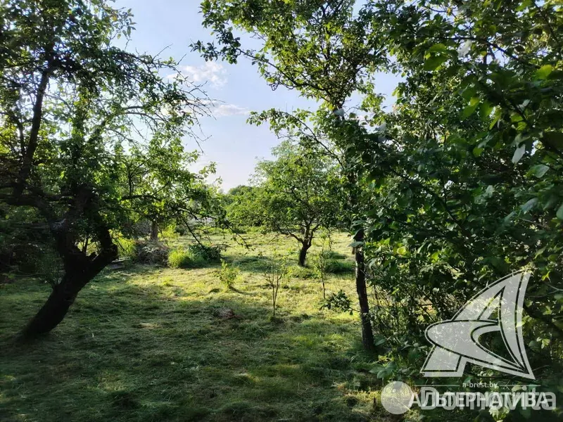 дом, Чемери 1,