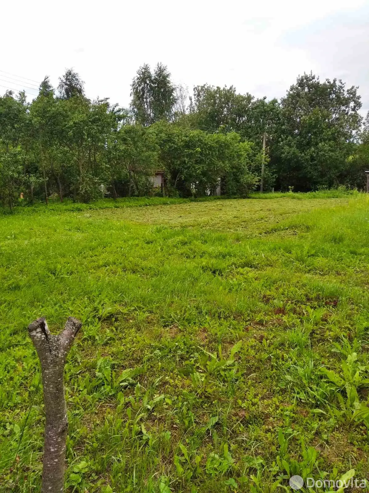 участок, Витебск, ул. 4-я Каменная, стоимость продажи 30 541 р.