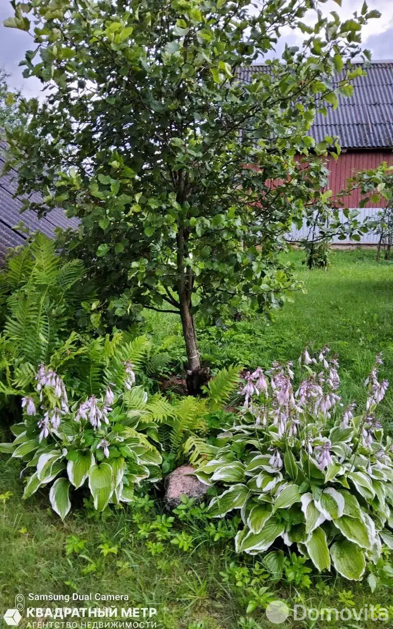 дом, Каменка, д. 25