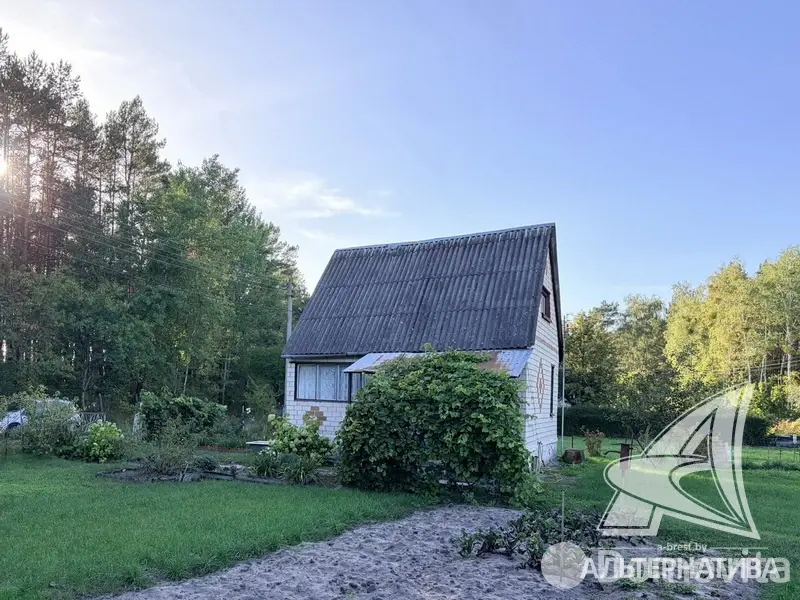 купить дачу, Лира-5,