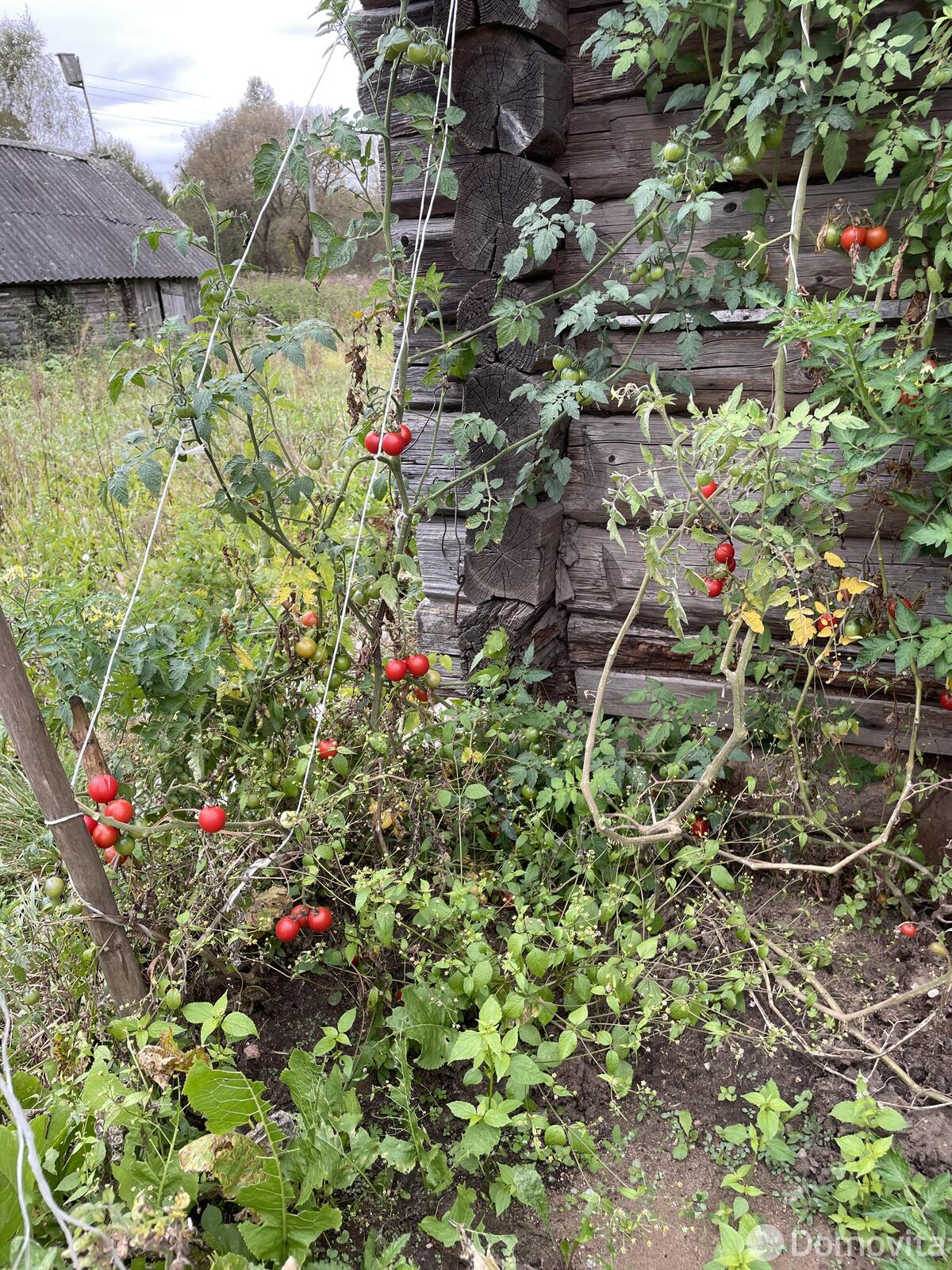 купить дом, Заполье, 