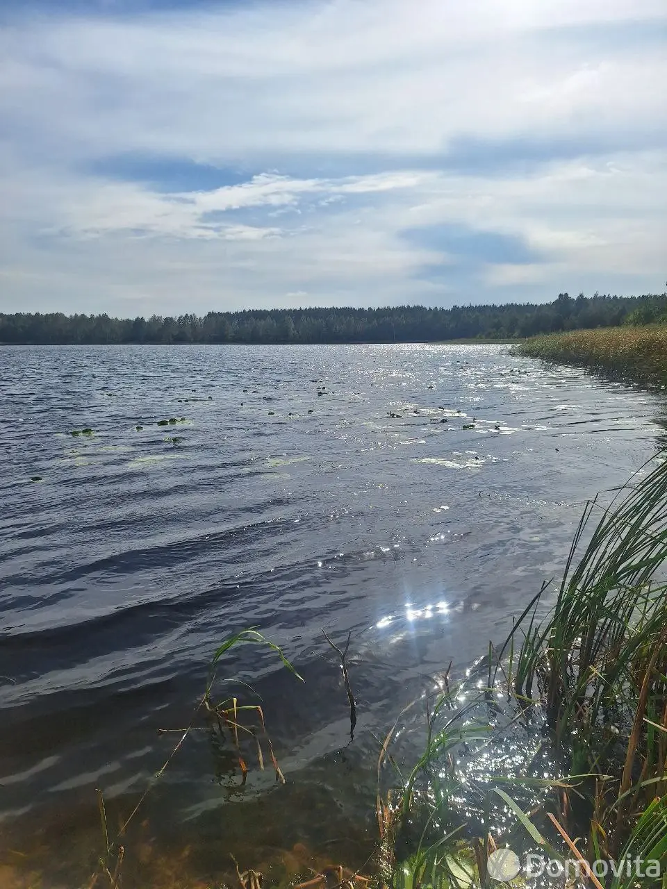 дом, Церковище, ул. Молодёжная