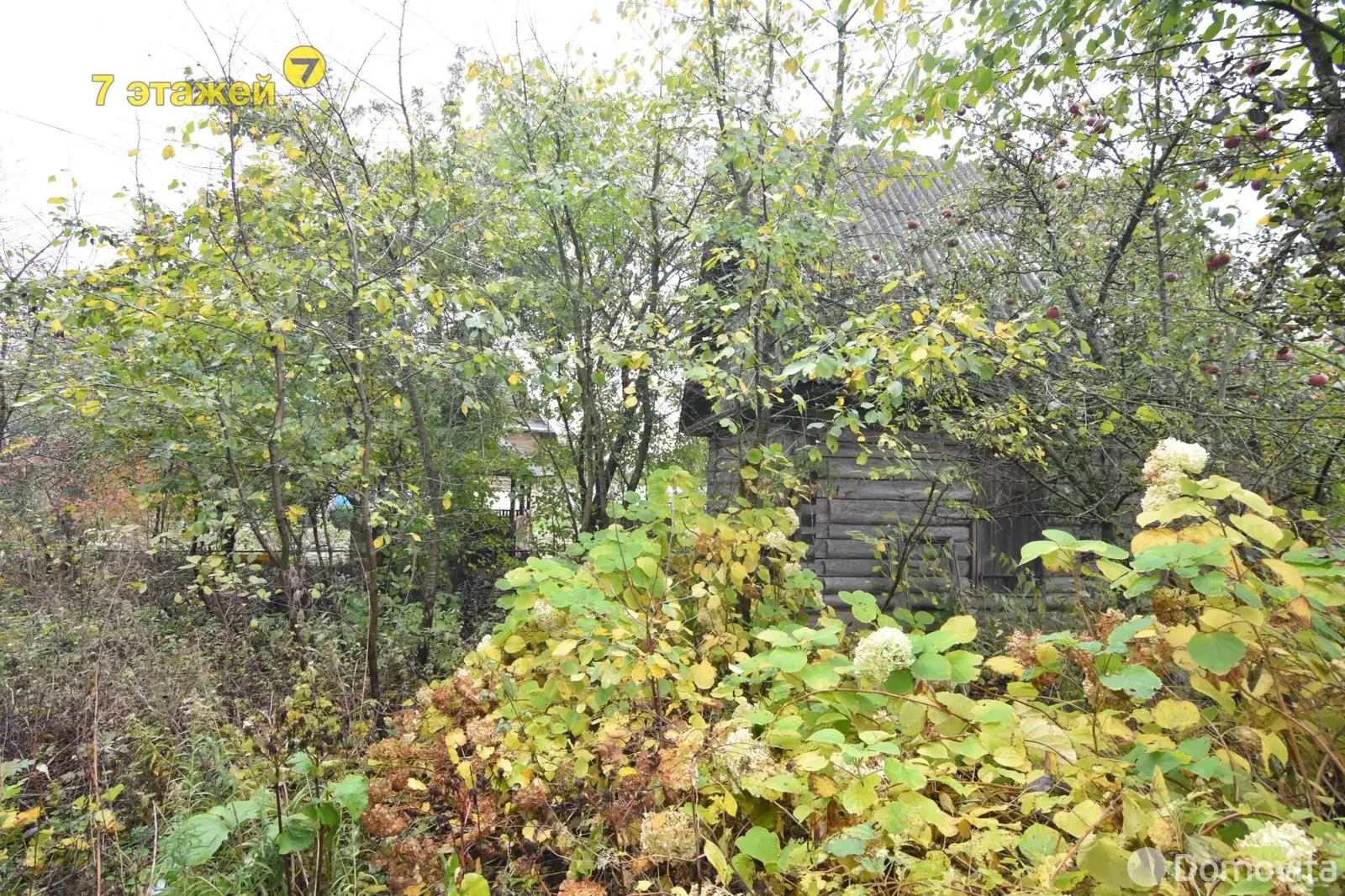 Продажа 3-этажной дачи в Колосок Минская область, 28500USD, код 180524 - фото 35