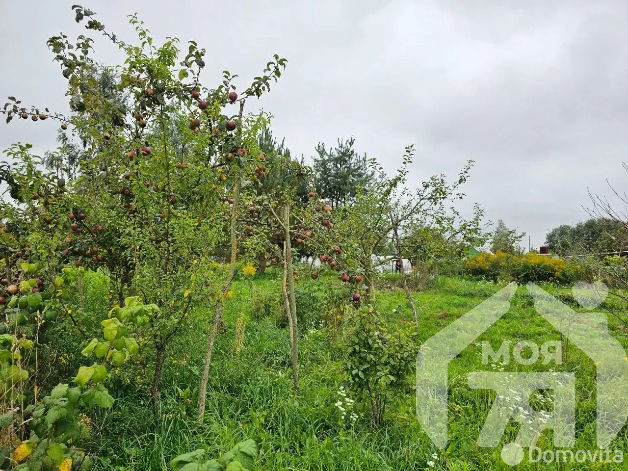 Стоимость продажи участка, Зрок-2, 