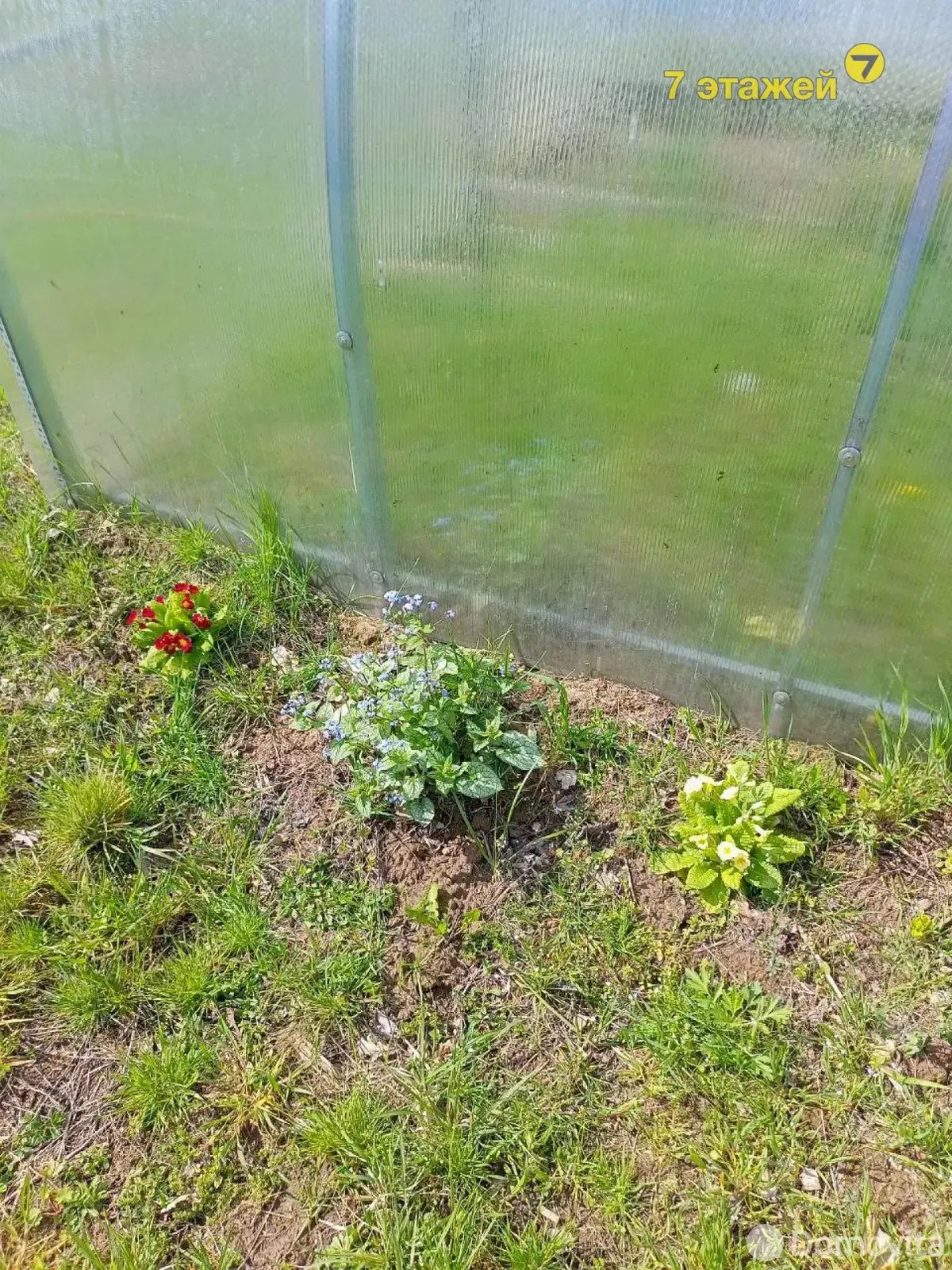 Продажа 1-этажной дачи в Вишневый сад Минская область, 10500USD, код 178393 - фото 54