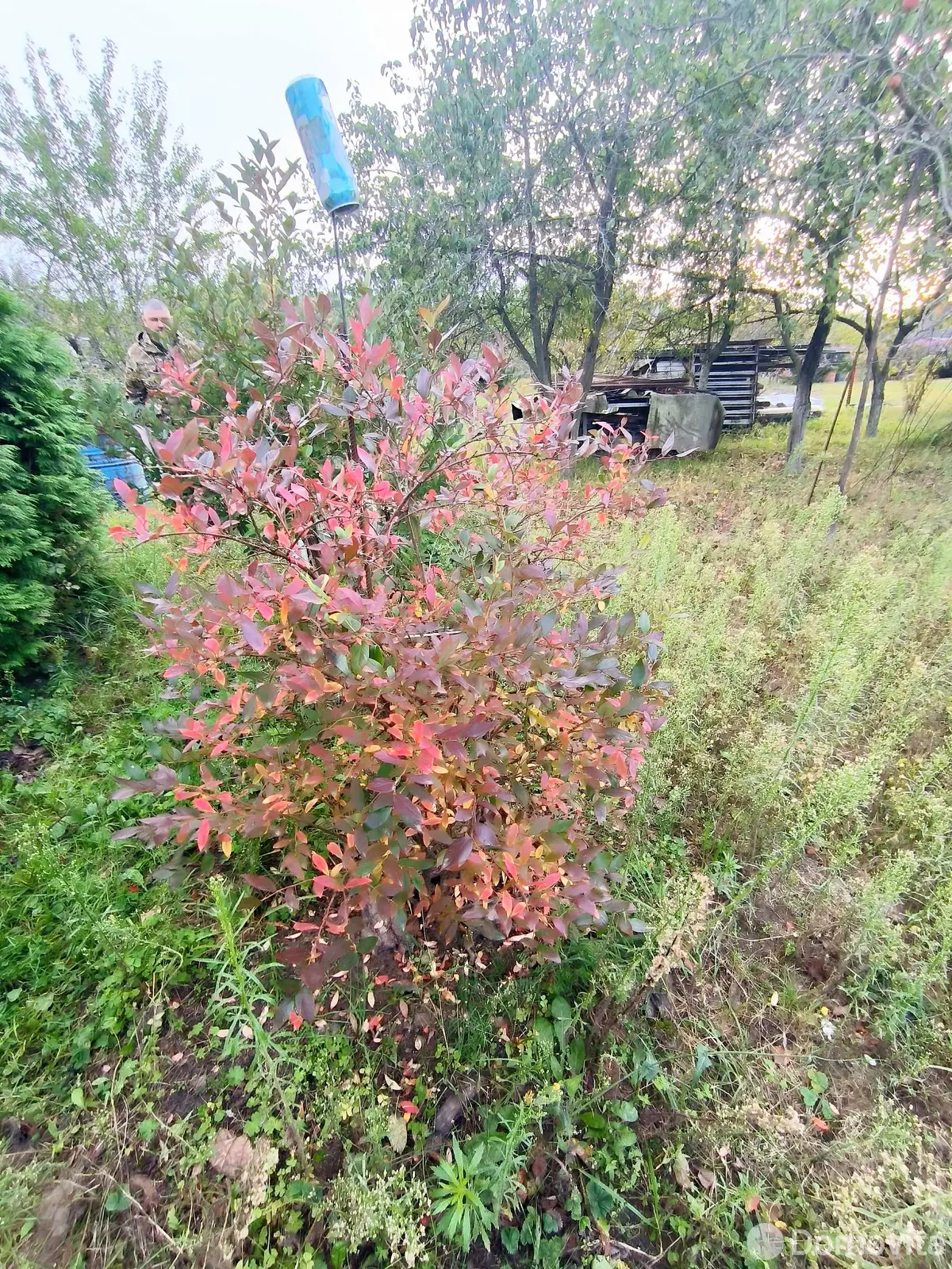 Цена продажи дачи, Особино, д. 166