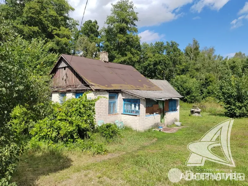 дом, Родничок-комбината электротехнических изделий,