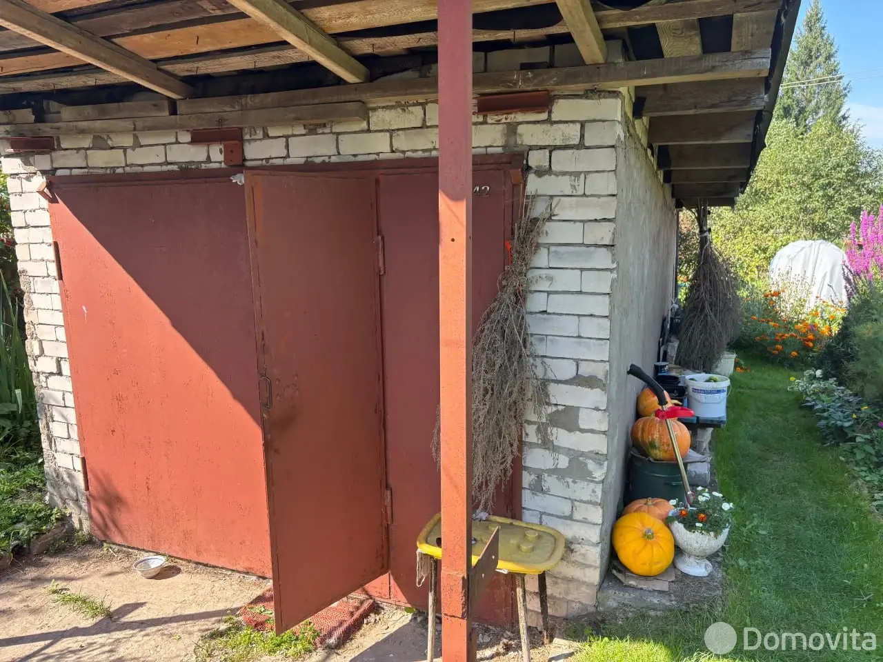 дача, Голубика,