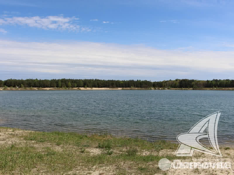 Купить 1-этажную дачу в Армеец-3 Брестская область, 37800USD, код 179525 - фото 12