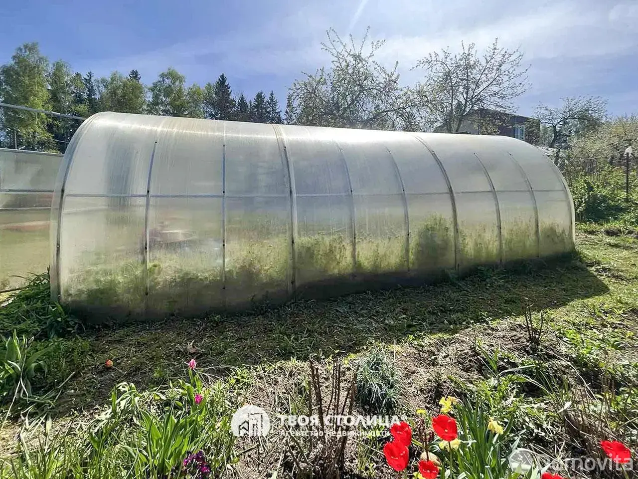 дача, Пралески,