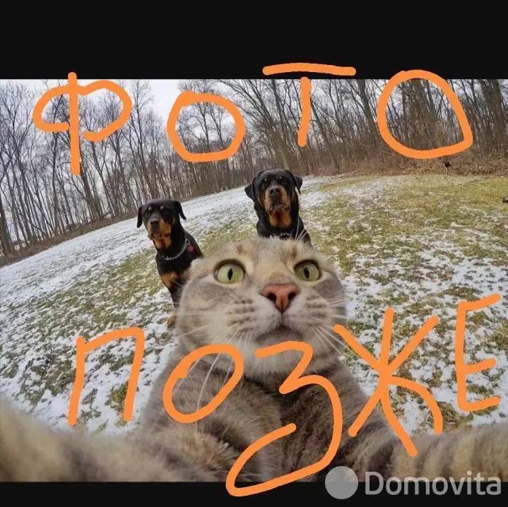 дом, Околица, ул. Шоссейная, д. 13