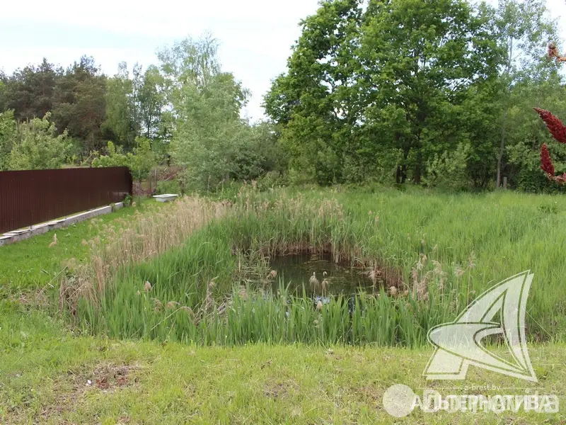 Купить 2-этажную дачу в Прибужье Брестская область, 25000USD, код 182895 - фото 31