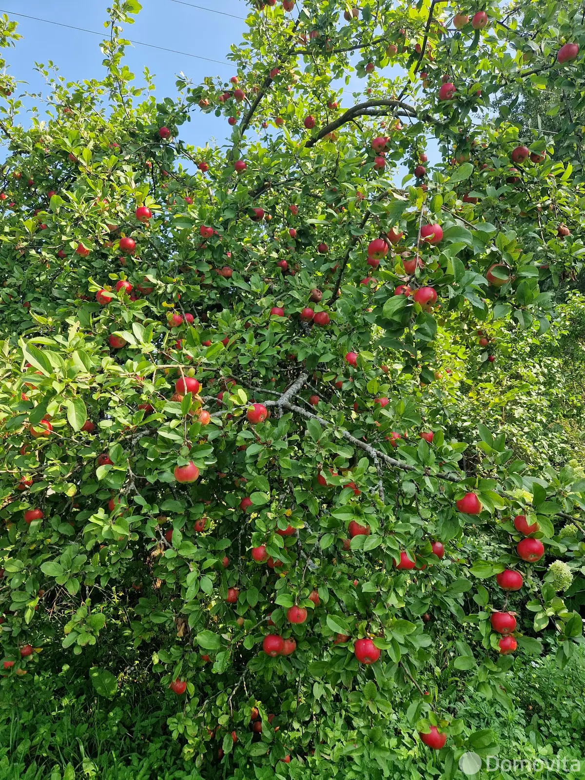 Купить 2-этажную дачу в Пралесках Минская область, 11500USD, код 183756 - фото 22