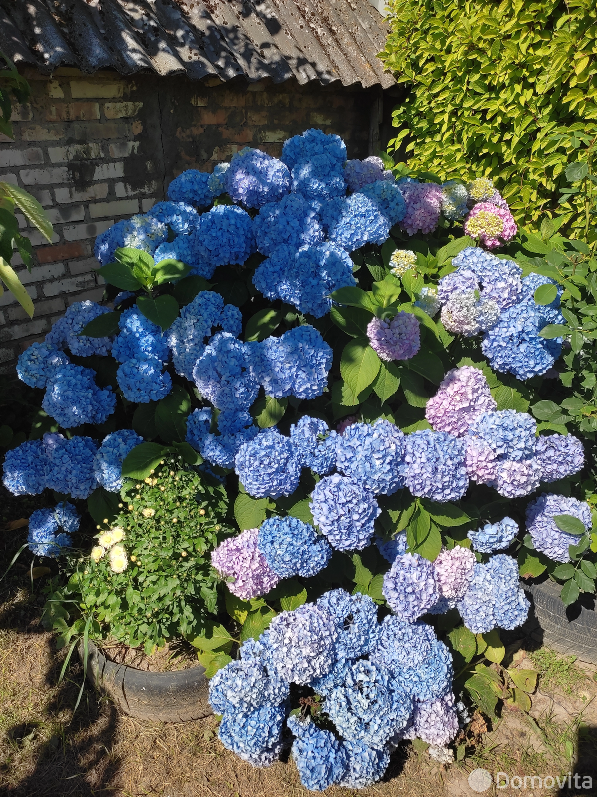 Купить 1-этажную дачу в Подгае Минская область, 9000USD, код 184121 - фото 24