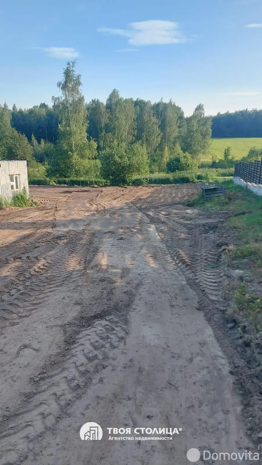 коттедж, Жуки, 