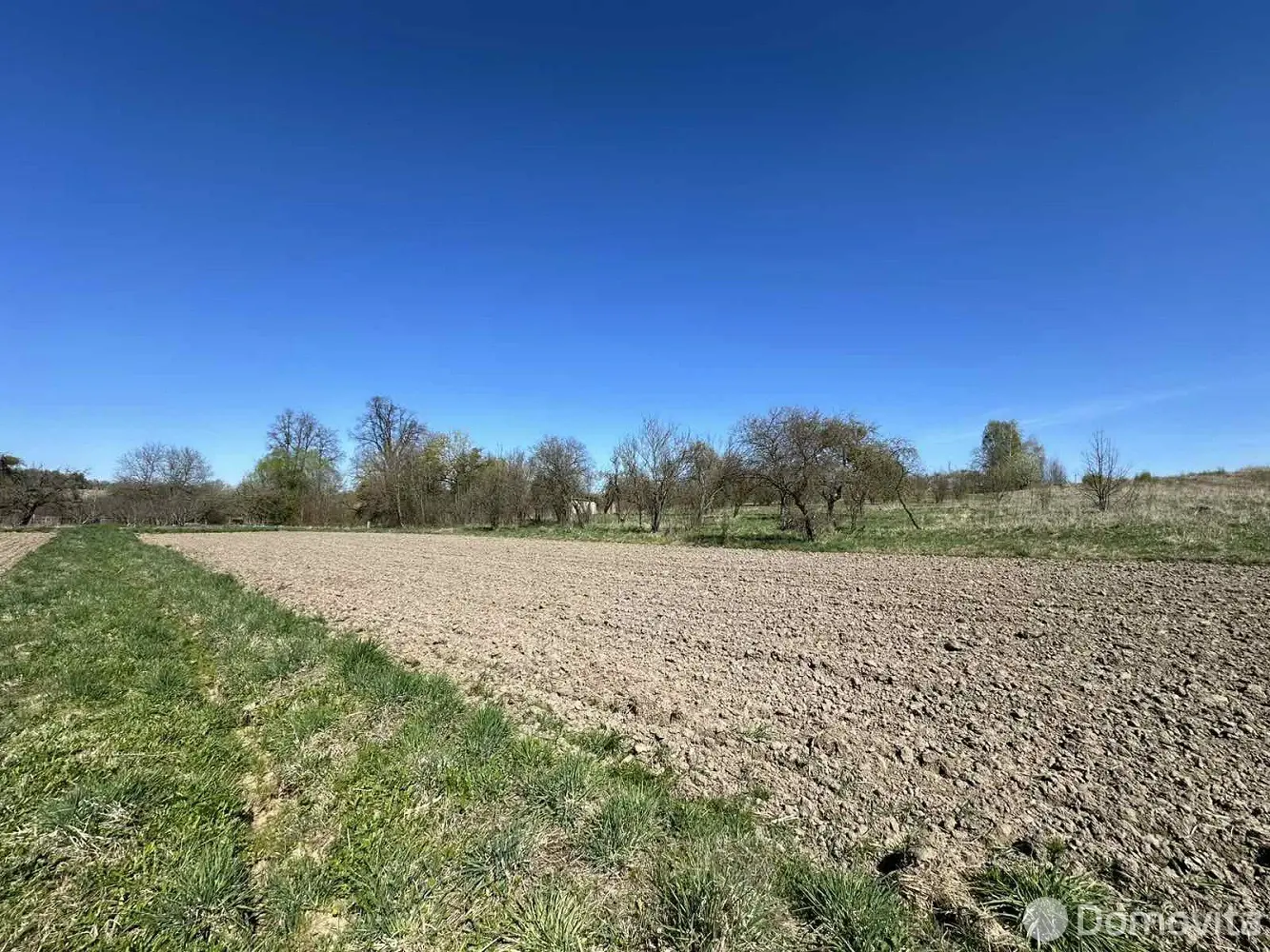 участок, Адамовичи, , стоимость продажи 182 917 р.