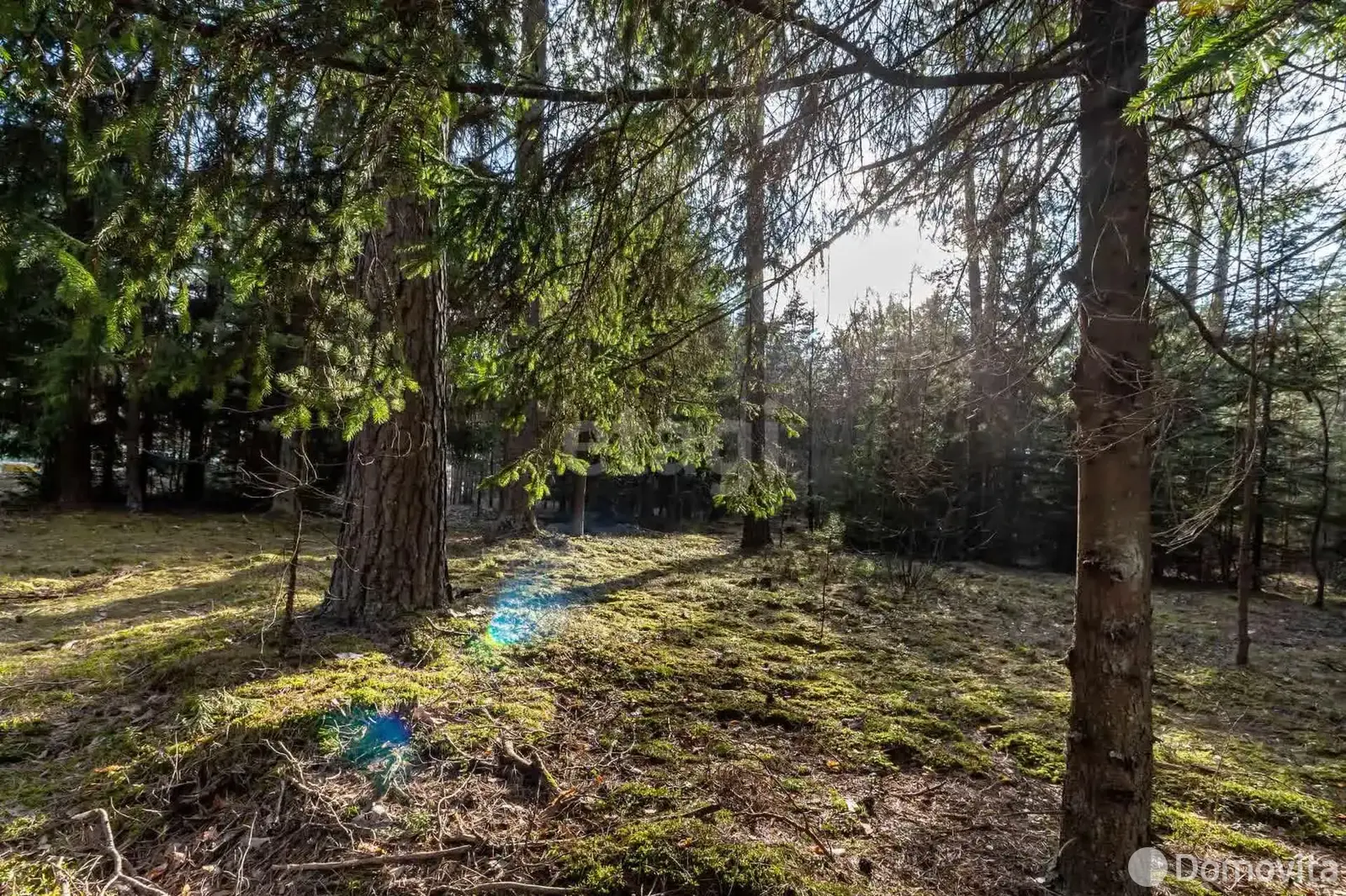 Стоимость продажи объекта сферы услуг, Раков, ул. Боровая