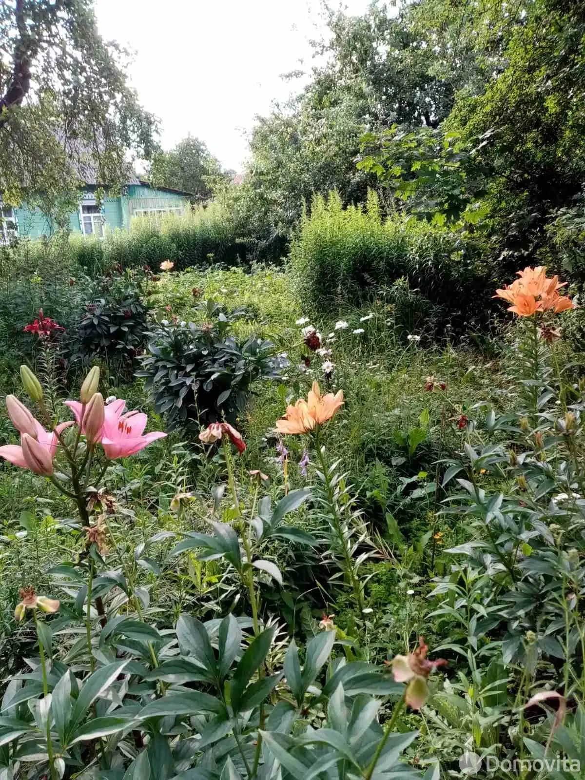 коттедж, Орша, пер. Климента Тимирязева
