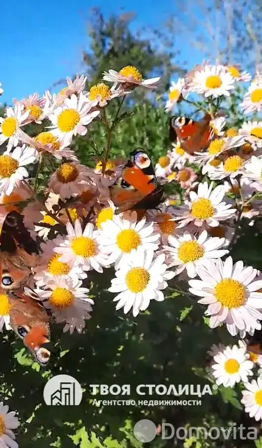 Продажа 1-этажной дачи в Золотой колосок Минская область, 15000USD, код 184931 - фото 17