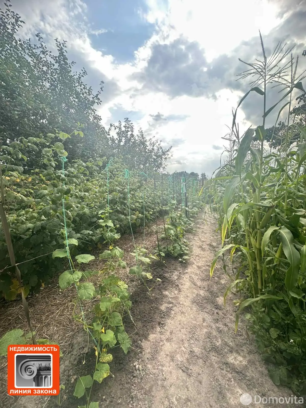Цена продажи коттеджа, Поколюбичи,