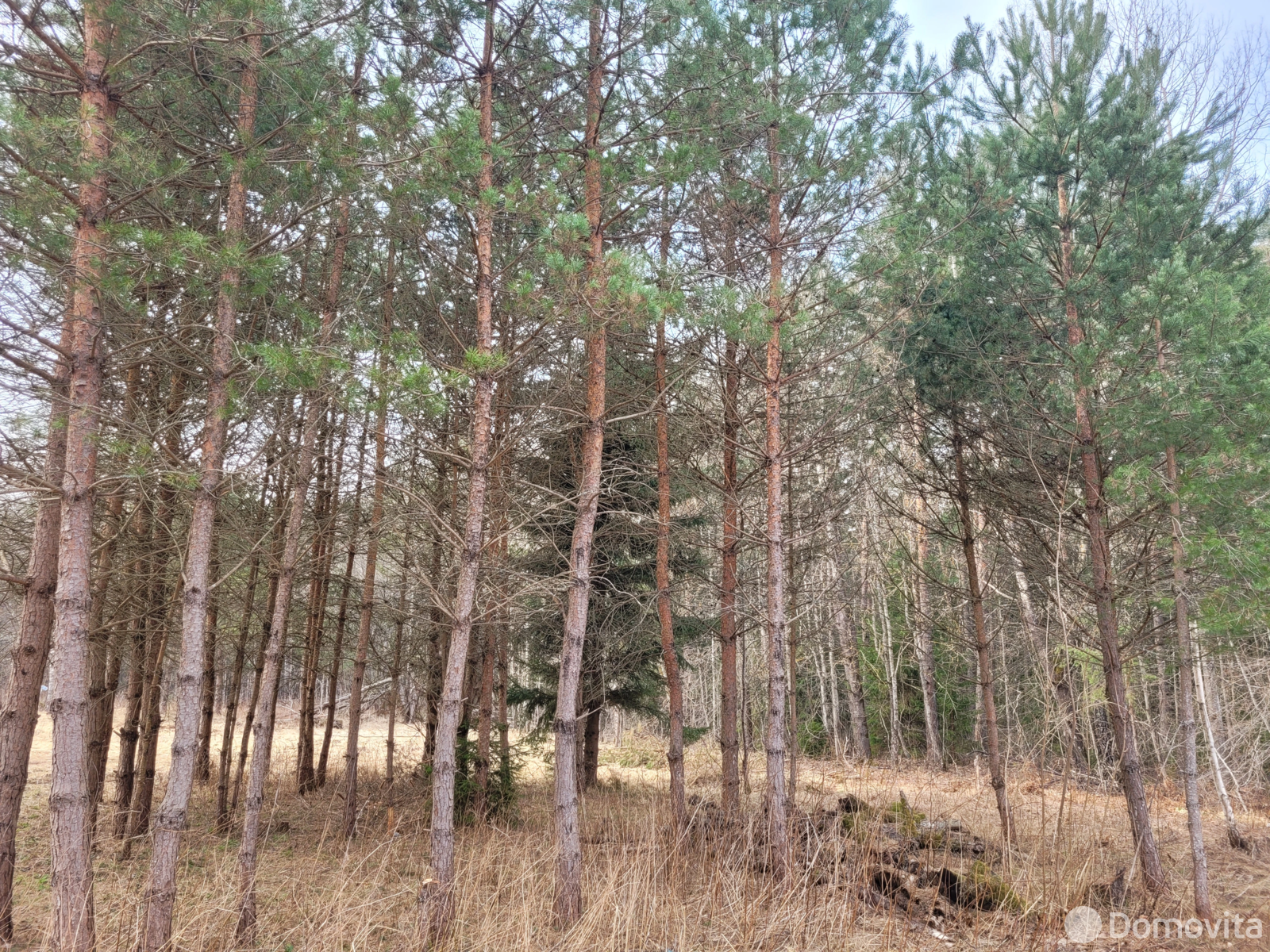 дом, Балаши, от собственника